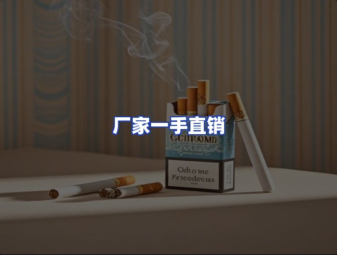 专业团队
